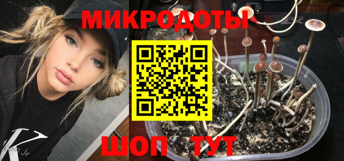 Севастополь  Галлюциногенные грибы мицелий  Вход с VPN  как найти закладки  Галлюциногенные грибы Magic Shrooms 